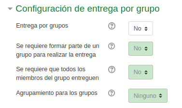 Captura de pantalla. Configuración de entrega por equipos