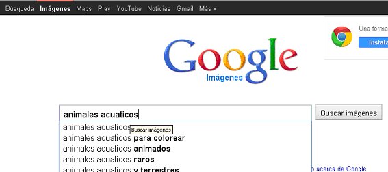 Captura de pantalla propia en Google Pantalla de búsqueda de imágenes en Google