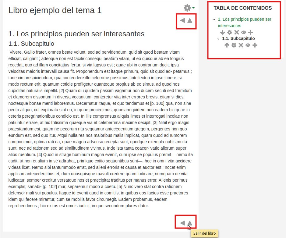 Fig. Captura de pantalla del resultado de la creación de un subcapítulo