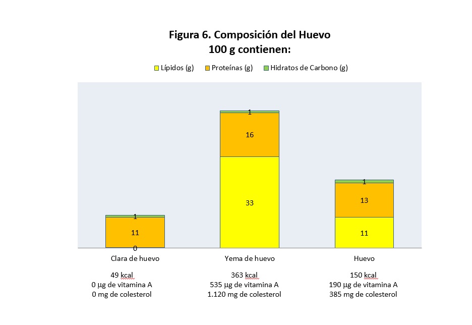Composición de los huevos