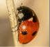 image-1653476146478.png