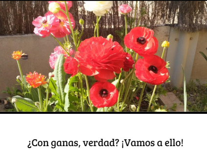image-1653478248305.png