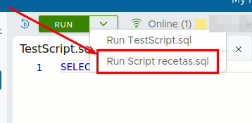 Ejecutar script.png