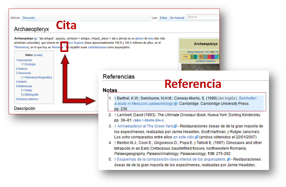 cita_referencia.png