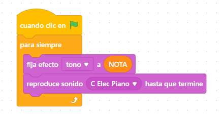 ECHIDNA-PIANOLUZ2.png