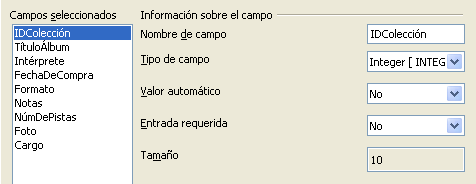 TiposdeCampoyFormato.png